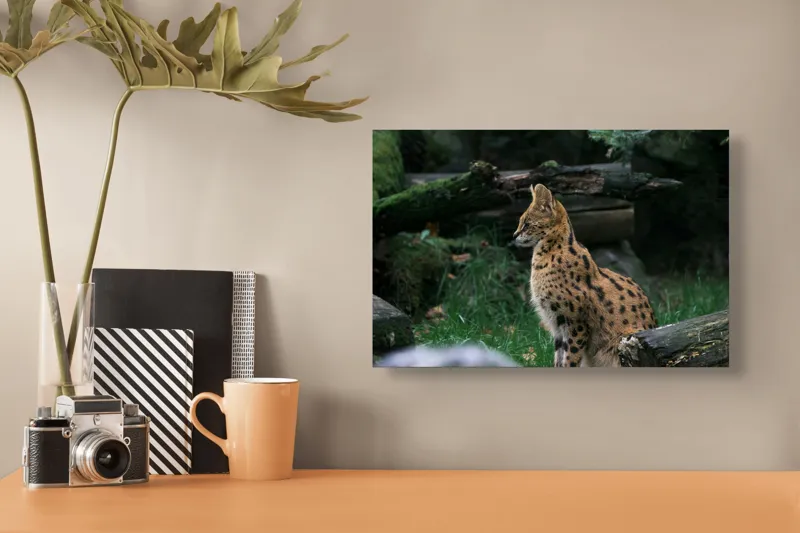 Tablou Canvas, "Serval printre ramuri de pădure", 39 x 26 cm – poza 3