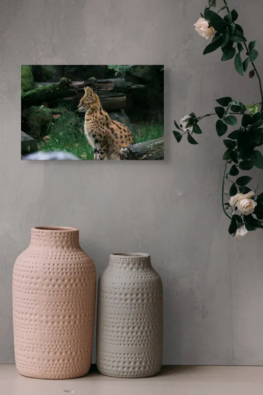 Tablou Canvas, "Serval printre ramuri de pădure", 39 x 26 cm – poza 4