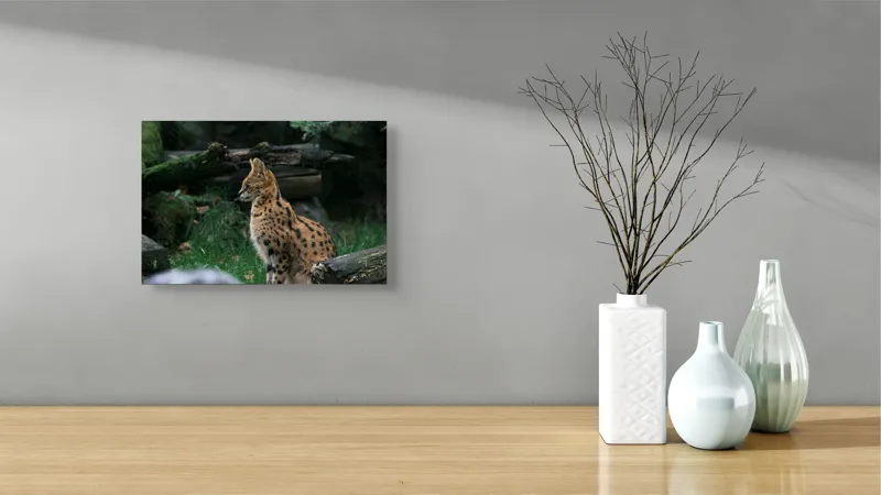 Tablou Canvas, "Serval printre ramuri de pădure", 39 x 26 cm – poza 8