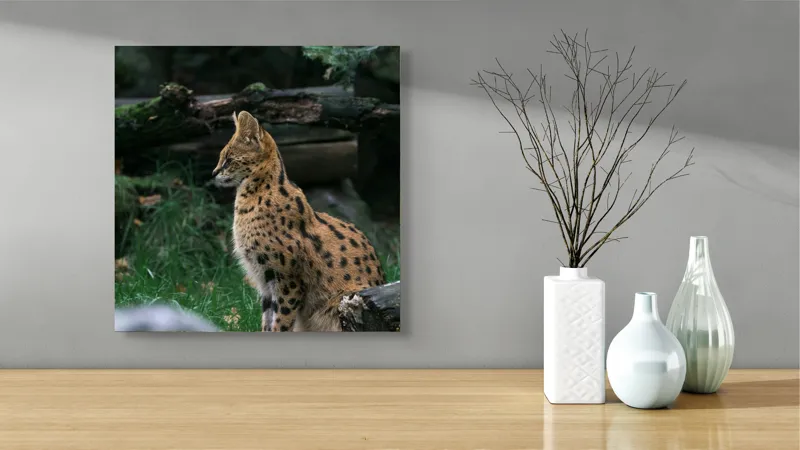 Tablou Canvas, "Serval printre ramuri de pădure", 50 x 50 cm – poza 3