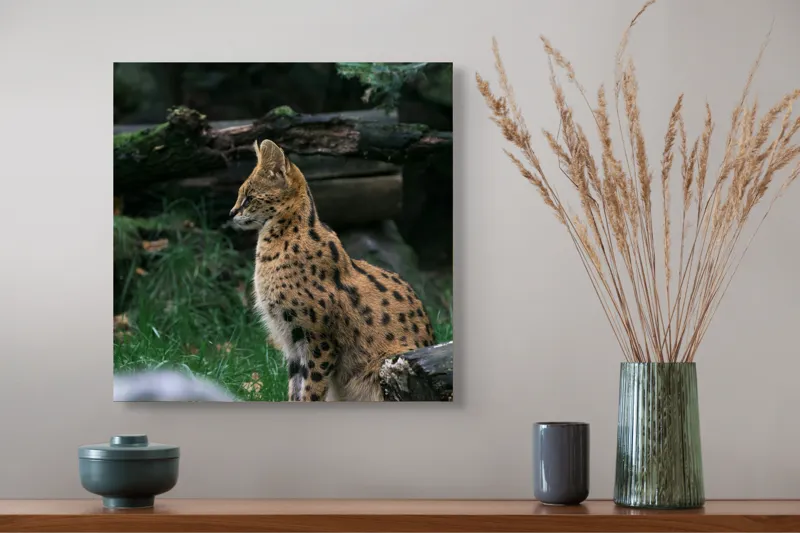 Tablou Canvas, "Serval printre ramuri de pădure", 50 x 50 cm – poza 4