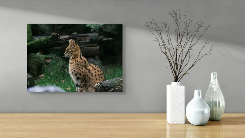 Tablou Canvas, "Serval printre ramuri de pădure", 54 x 39 cm – poza 3