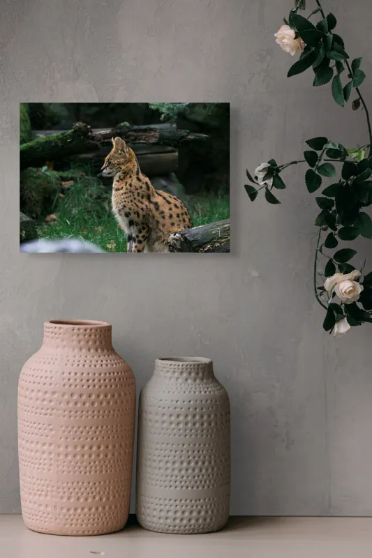 Tablou Canvas, "Serval printre ramuri de pădure", 54 x 39 cm – poza 8