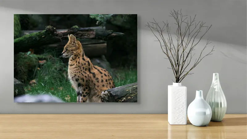 Tablou Canvas, "Serval printre ramuri de pădure", 70 x 50 cm – poza 3