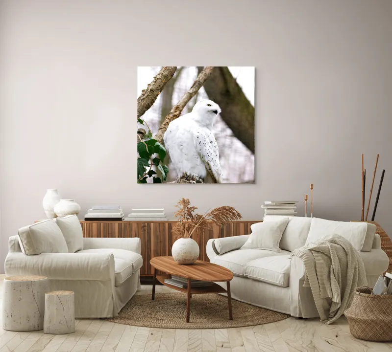 Tablou Canvas, "Bufnița polară pe o ramură uscată", Bufniță, Albă, Majestică, Ramură, Frunze, Ochi, Pană, Natural, Pădure, Observație, 100 x 100 cm – poza 3