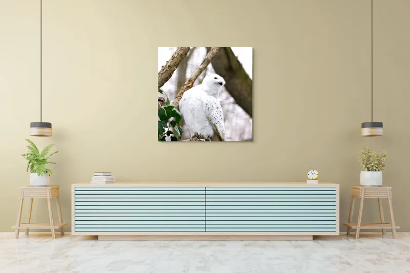 Tablou Canvas, "Bufnița polară pe o ramură uscată", Bufniță, Albă, Majestică, Ramură, Frunze, Ochi, Pană, Natural, Pădure, Observație, 100 x 100 cm – poza 5