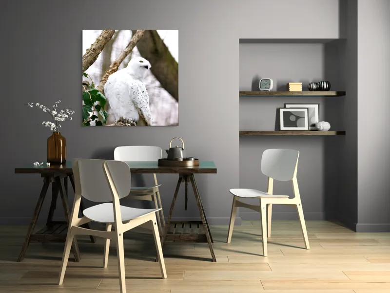 Tablou Canvas, "Bufnița polară pe o ramură uscată", Bufniță, Albă, Majestică, Ramură, Frunze, Ochi, Pană, Natural, Pădure, Observație, 100 x 100 cm – poza 6