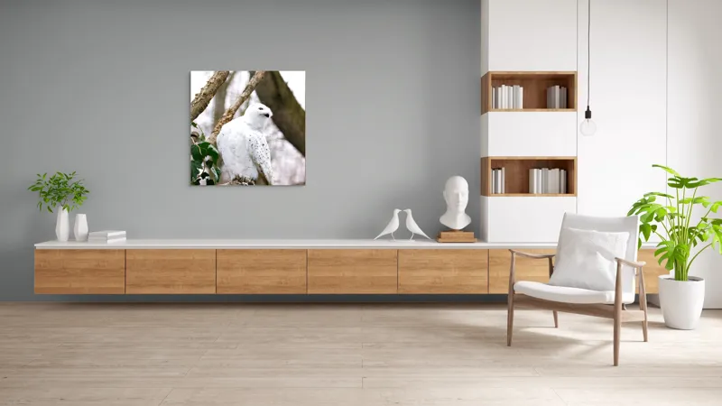 Tablou Canvas, "Bufnița polară pe o ramură uscată", Bufniță, Albă, Majestică, Ramură, Frunze, Ochi, Pană, Natural, Pădure, Observație, 100 x 100 cm – poza 8