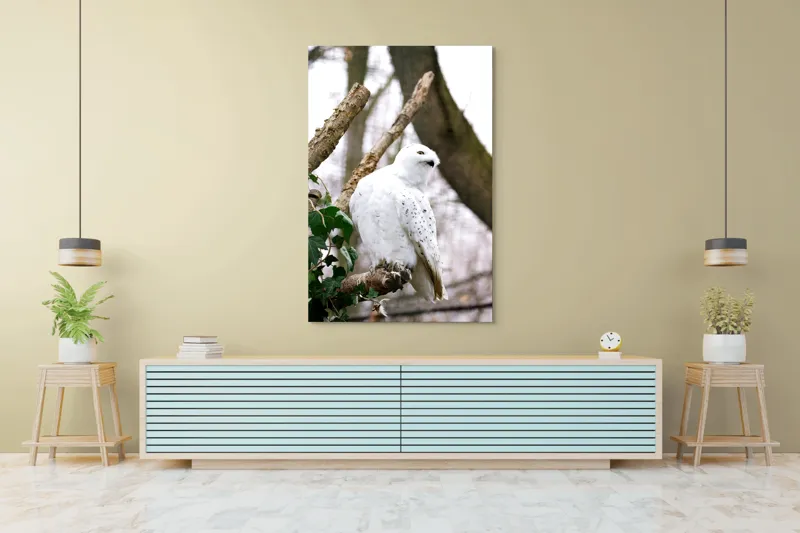 Tablou Canvas, "Bufnița polară pe o ramură uscată", Bufniță, Albă, Majestică, Ramură, Frunze, Ochi, Pană, Natural, Pădure, Observație, 100 x 150 cm – poza 4