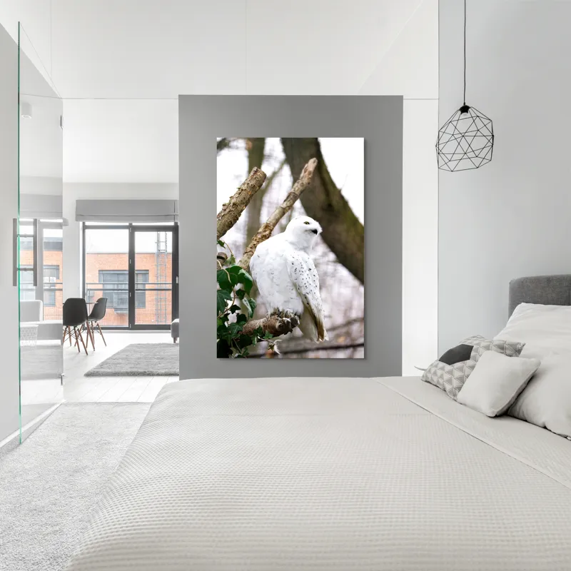 Tablou Canvas, "Bufnița polară pe o ramură uscată", Bufniță, Albă, Majestică, Ramură, Frunze, Ochi, Pană, Natural, Pădure, Observație, 100 x 150 cm – poza 5