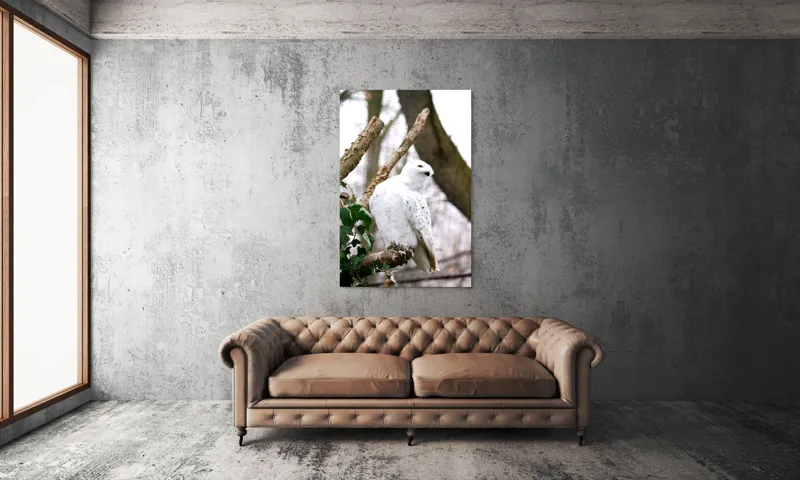Tablou Canvas, "Bufnița polară pe o ramură uscată", Bufniță, Albă, Majestică, Ramură, Frunze, Ochi, Pană, Natural, Pădure, Observație, 100 x 150 cm – poza 6