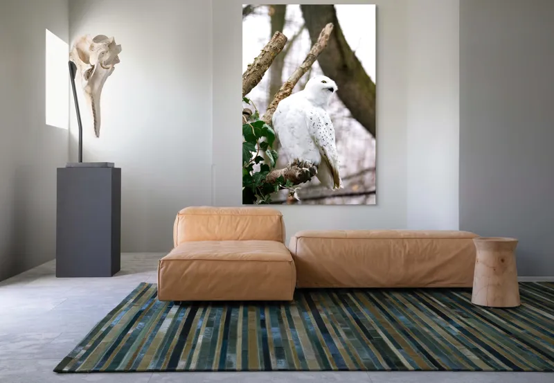 Tablou Canvas, "Bufnița polară pe o ramură uscată", Bufniță, Albă, Majestică, Ramură, Frunze, Ochi, Pană, Natural, Pădure, Observație, 100 x 150 cm – poza 7