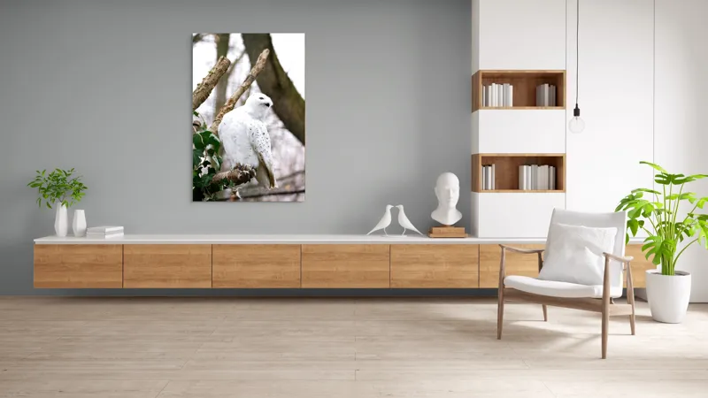 Tablou Canvas, "Bufnița polară pe o ramură uscată", Bufniță, Albă, Majestică, Ramură, Frunze, Ochi, Pană, Natural, Pădure, Observație, 100 x 150 cm – poza 8