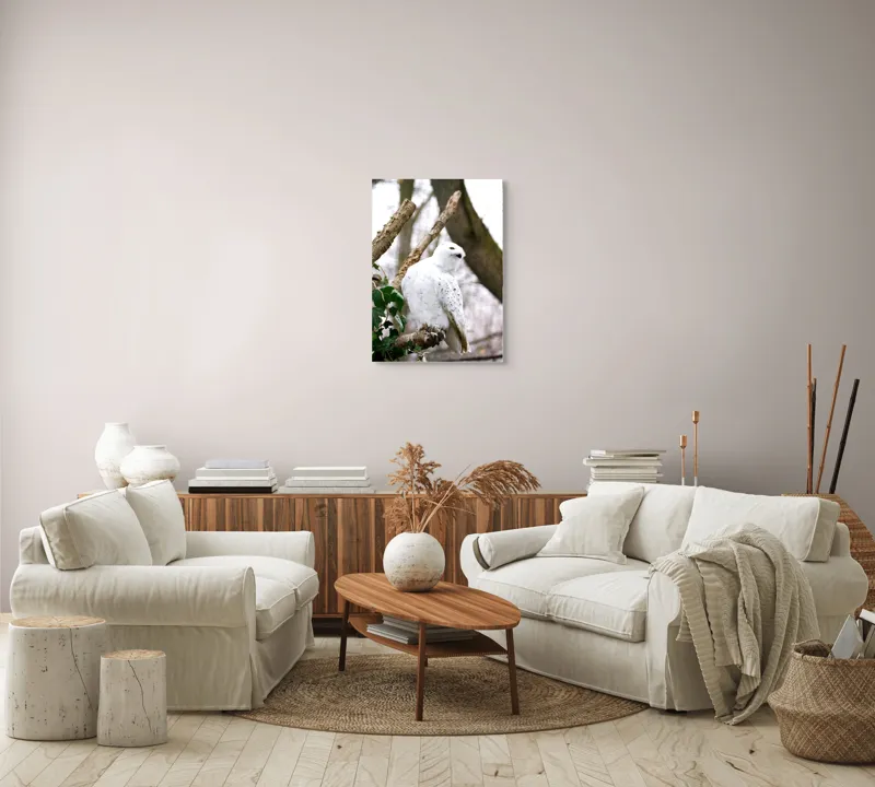 Tablou Canvas, "Bufnița polară pe o ramură uscată", Bufniță, Albă, Majestică, Ramură, Frunze, Ochi, Pană, Natural, Pădure, Observație, 50 x 70 cm – poza 4