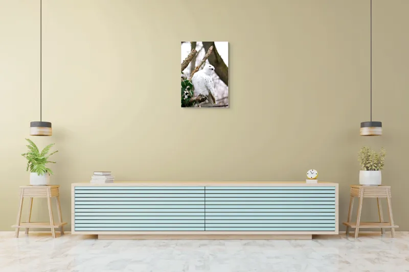Tablou Canvas, "Bufnița polară pe o ramură uscată", Bufniță, Albă, Majestică, Ramură, Frunze, Ochi, Pană, Natural, Pădure, Observație, 50 x 70 cm – poza 6
