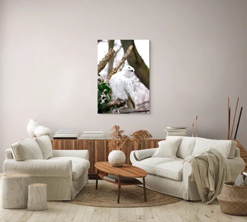 Tablou Canvas, "Bufnița polară pe o ramură uscată", Bufniță, Albă, Majestică, Ramură, Frunze, Ochi, Pană, Natural, Pădure, Observație, 70 x 100 cm – poza 4
