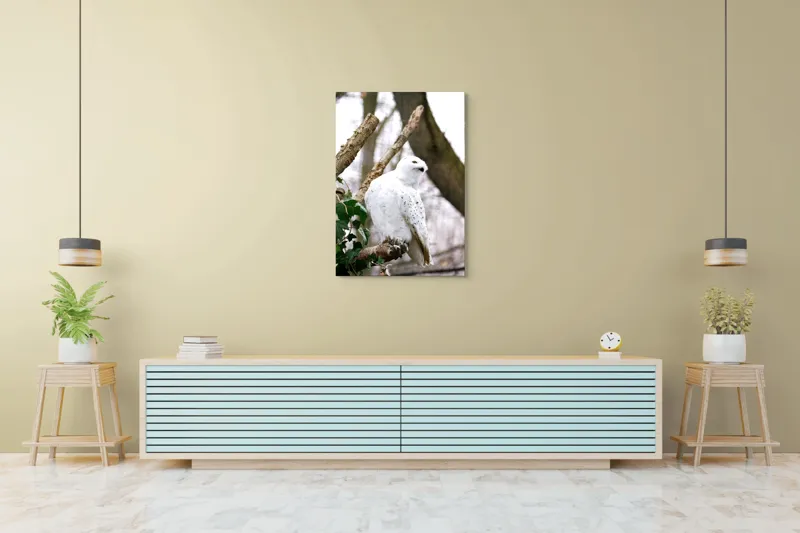 Tablou Canvas, "Bufnița polară pe o ramură uscată", Bufniță, Albă, Majestică, Ramură, Frunze, Ochi, Pană, Natural, Pădure, Observație, 70 x 100 cm – poza 5