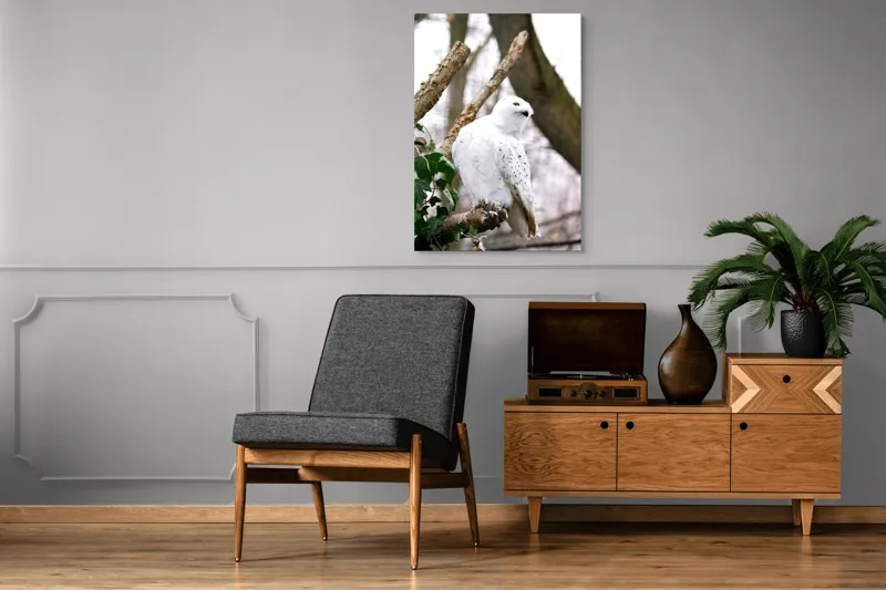 Tablou Canvas, "Bufnița polară pe o ramură uscată", Bufniță, Albă, Majestică, Ramură, Frunze, Ochi, Pană, Natural, Pădure, Observație, 70 x 100 cm – poza 6