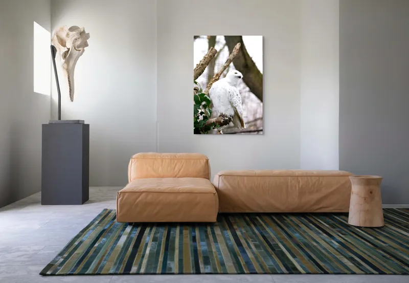 Tablou Canvas, "Bufnița polară pe o ramură uscată", Bufniță, Albă, Majestică, Ramură, Frunze, Ochi, Pană, Natural, Pădure, Observație, 70 x 100 cm – poza 7