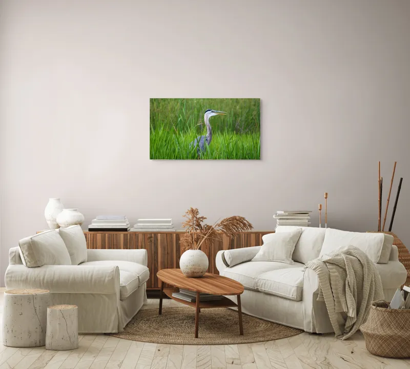 Tablou Canvas, "Egreta în iarba verde smarald", Albastru, Elegant, Stuf, Natura, Pasare, Serenitate, Verde., 90 x 50 cm – poza 4
