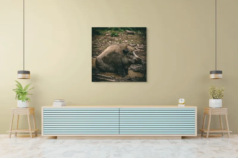 Tablou Canvas, "Mistret odihnindu-se în noroiul pădurii", 100 x 100 cm – poza 5