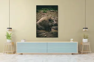 Tablou Canvas, "Mistret odihnindu-se în noroiul pădurii", 100 x 150 cm – poza 4