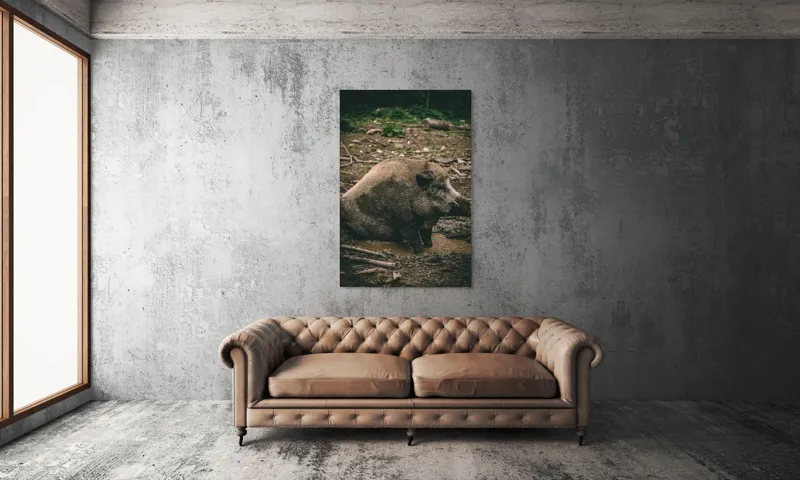 Tablou Canvas, "Mistret odihnindu-se în noroiul pădurii", 100 x 150 cm – poza 6