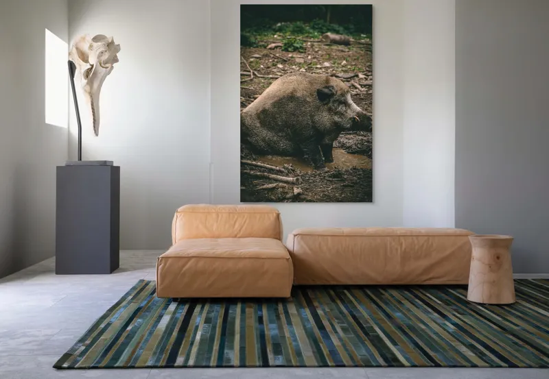 Tablou Canvas, "Mistret odihnindu-se în noroiul pădurii", 100 x 150 cm – poza 7