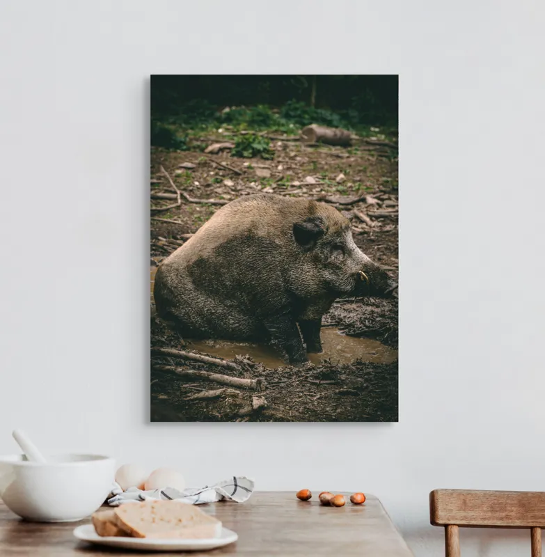 Tablou Canvas, "Mistret odihnindu-se în noroiul pădurii", 50 x 70 cm – poza 3