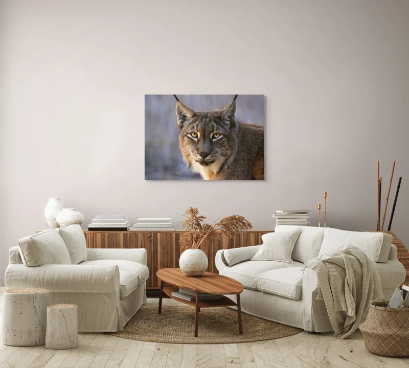 Tablou Canvas, "Privirea ageră a râsului european", 100 x 70 cm – poza 3