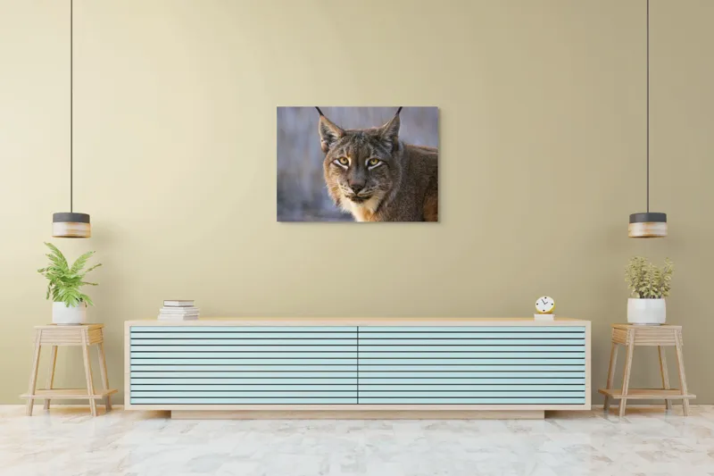 Tablou Canvas, "Privirea ageră a râsului european", 100 x 70 cm – poza 4