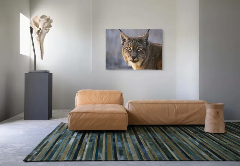 Tablou Canvas, "Privirea ageră a râsului european", 100 x 70 cm – poza 7
