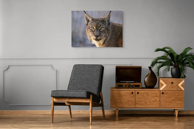 Tablou Canvas, "Privirea ageră a râsului european", 100 x 70 cm – poza 8