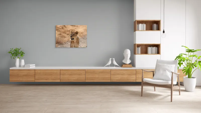 Tablou Canvas, "Leoaica în savana africană pășind agale", 100 x 70 cm – poza 6