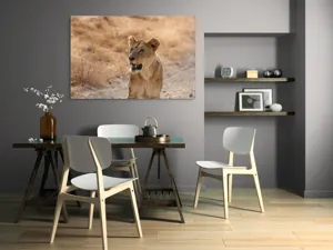 Tablou Canvas, "Leoaica în savana africană pășind agale", 150 x 100 cm – poza 5