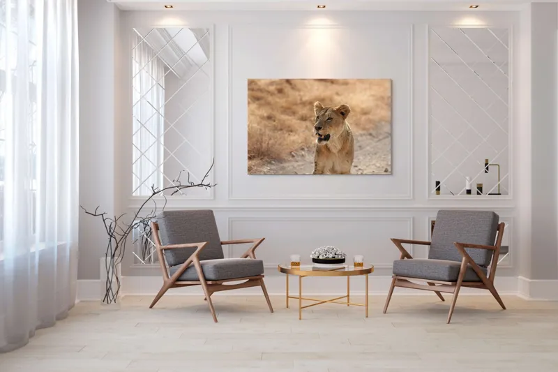 Tablou Canvas, "Leoaica în savana africană pășind agale", 150 x 100 cm – poza 7