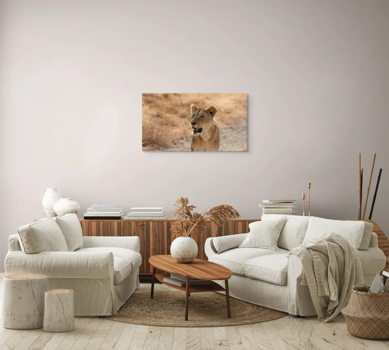 Tablou Canvas, "Leoaica în savana africană pășind agale", 90 x 50 cm – poza 4