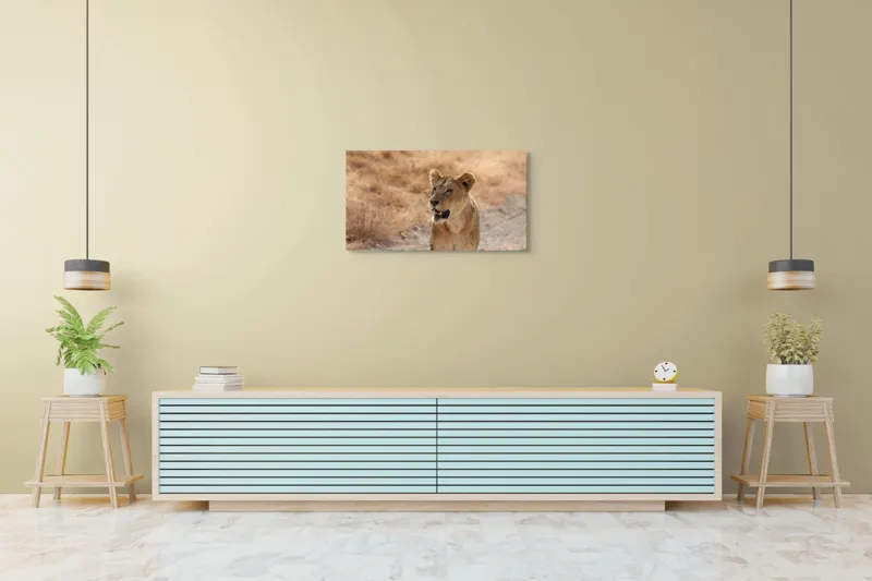 Tablou Canvas, "Leoaica în savana africană pășind agale", 90 x 50 cm – poza 5