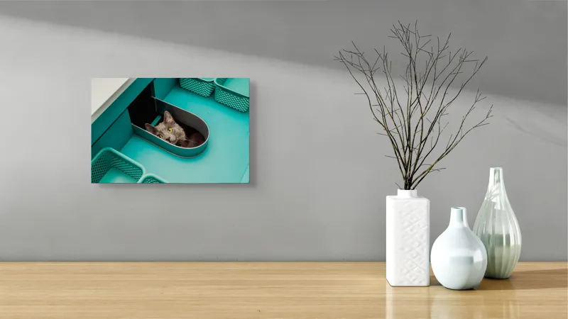 Tablou Canvas, "Pisica ascunsă în sertarul teal", Pisică, Ochi, Curioasă, Cutie, Verde, Blană, Uimită, Haioasă, 39 x 26 cm – poza 8