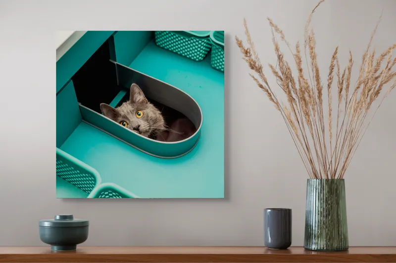 Tablou Canvas, "Pisica ascunsă în sertarul teal", Pisică, Ochi, Curioasă, Cutie, Verde, Blană, Uimită, Haioasă, 50 x 50 cm – poza 4