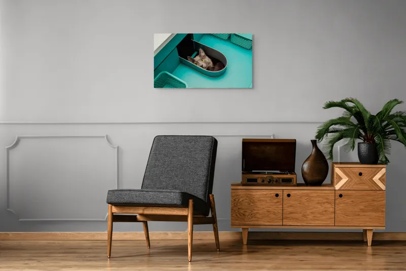 Tablou Canvas, "Pisica ascunsă în sertarul teal", Pisică, Ochi, Curioasă, Cutie, Verde, Blană, Uimită, Haioasă, 90 x 50 cm – poza 6