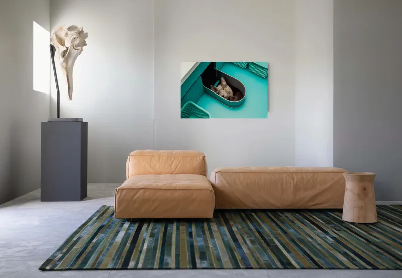 Tablou Canvas, "Pisica ascunsă în sertarul teal", Pisică, Ochi, Curioasă, Cutie, Verde, Blană, Uimită, Haioasă, 90 x 50 cm – poza 8