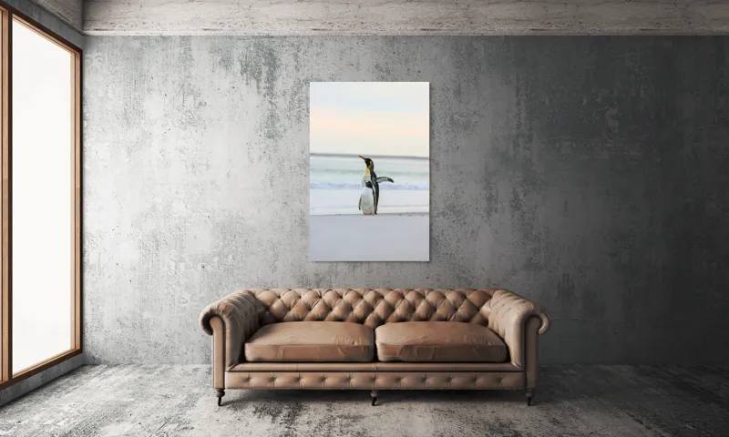 Tablou Canvas, "Regii gheții pe plajă
", Pinguini, Plajă, Ocean, Aurore, Cer, Aripi, Nisip, Apă, 100 x 150 cm – poza 6