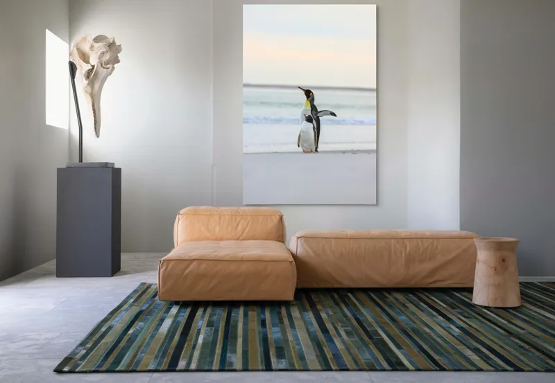 Tablou Canvas, "Regii gheții pe plajă
", Pinguini, Plajă, Ocean, Aurore, Cer, Aripi, Nisip, Apă, 100 x 150 cm – poza 7