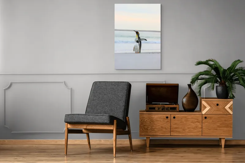 Tablou Canvas, "Regii gheții pe plajă
", Pinguini, Plajă, Ocean, Aurore, Cer, Aripi, Nisip, Apă, 70 x 100 cm – poza 6