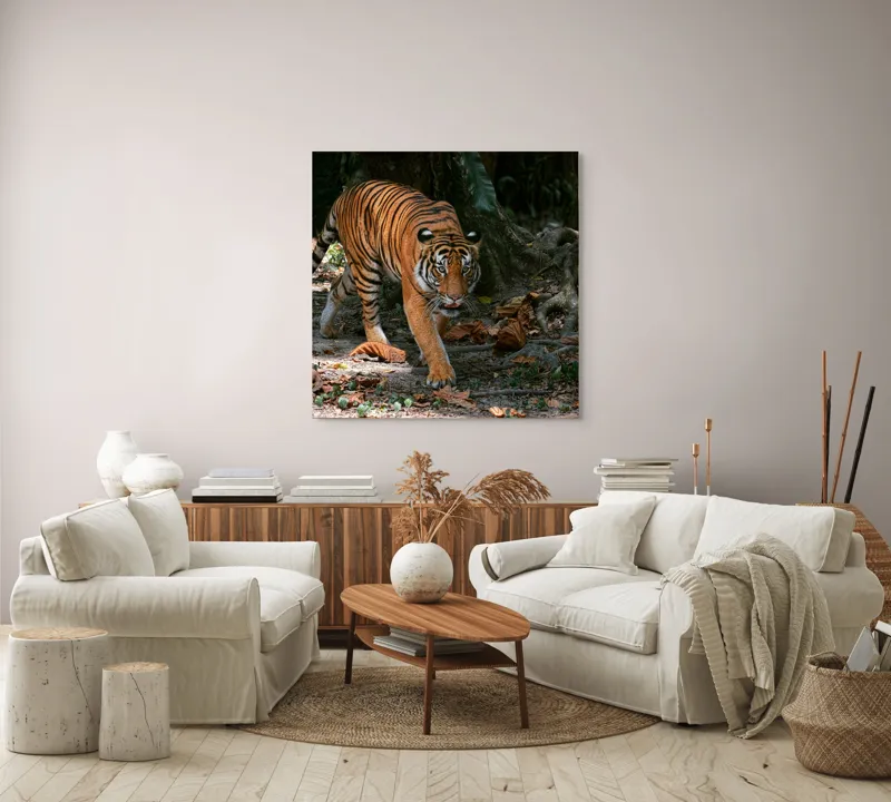 Tablou Canvas, "Tigru pășind prin frunziș auriu", Majestic, Stealthy, Powerful, Striped, Intense, 100 x 100 cm – poza 3