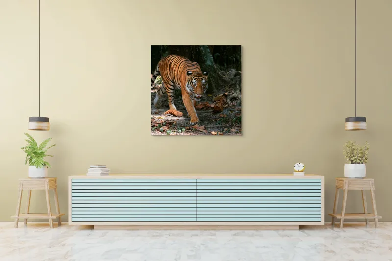 Tablou Canvas, "Tigru pășind prin frunziș auriu", Majestic, Stealthy, Powerful, Striped, Intense, 100 x 100 cm – poza 5