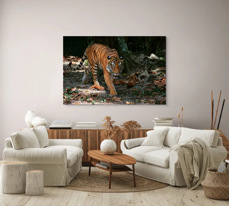Tablou Canvas, "Tigru pășind prin frunziș auriu", Majestic, Stealthy, Powerful, Striped, Intense, 150 x 100 cm – poza 3