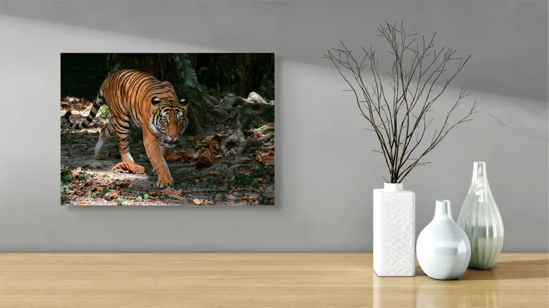 Tablou Canvas, "Tigru pășind prin frunziș auriu", Majestic, Stealthy, Powerful, Striped, Intense, 54 x 39 cm – poza 3
