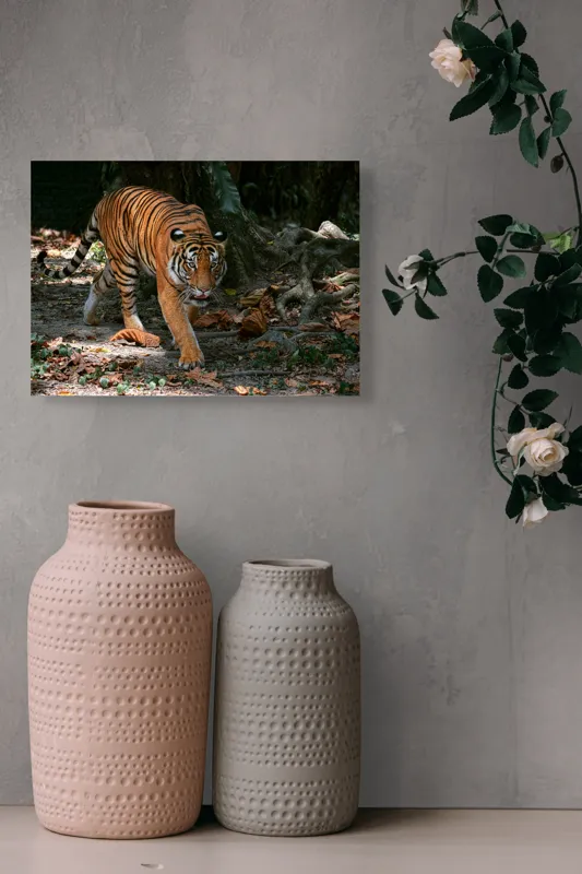 Tablou Canvas, "Tigru pășind prin frunziș auriu", Majestic, Stealthy, Powerful, Striped, Intense, 54 x 39 cm – poza 8